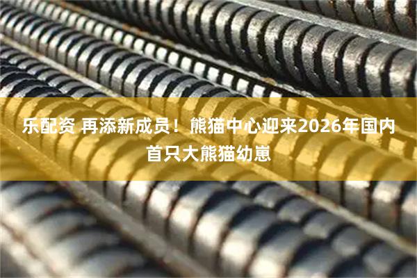 乐配资 再添新成员!熊猫中心迎来2026年国内首只大熊猫幼崽